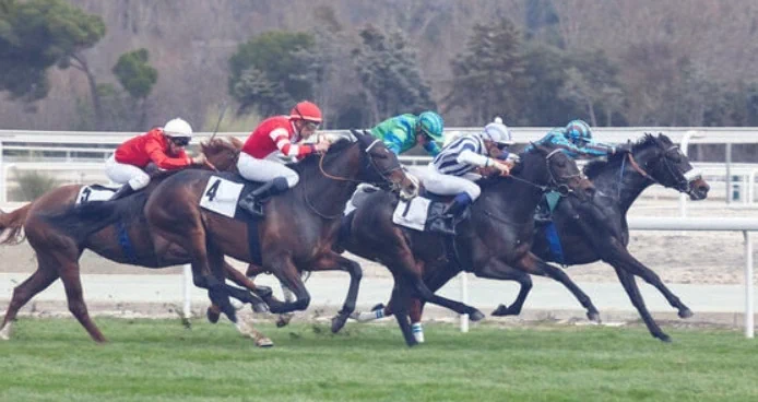 Vodacom Durban July Horse racing Screenshot